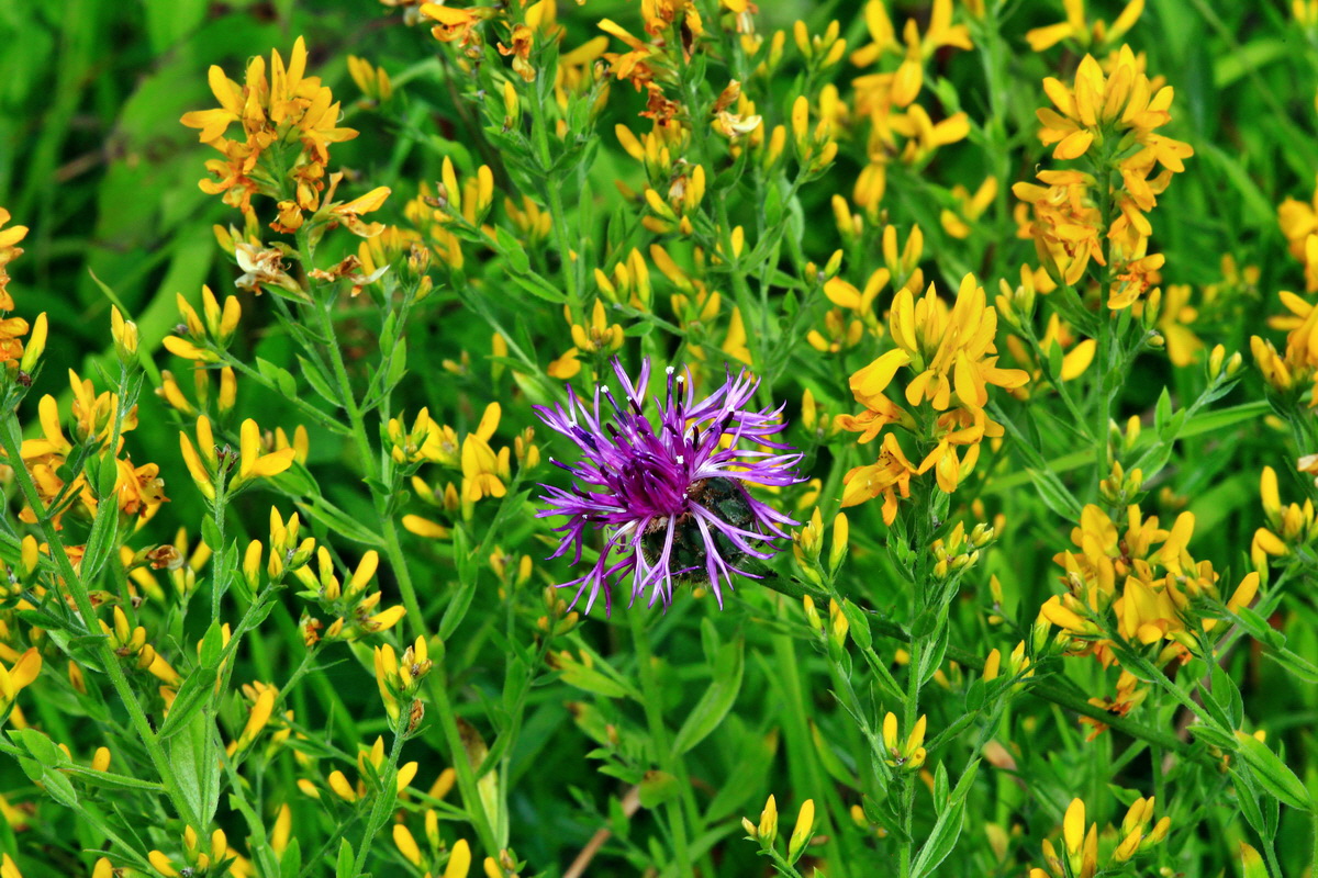 2013_06_24_00024159p_Bildgr��e �ndern