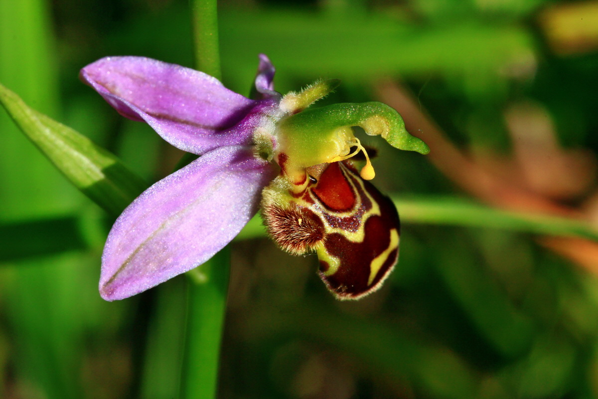 2013_06_24_00024182p_Bildgr��e �ndern