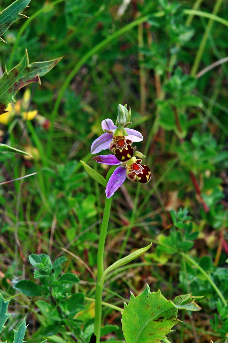 2013_06_24_00024253p_Bildgr��e �ndern