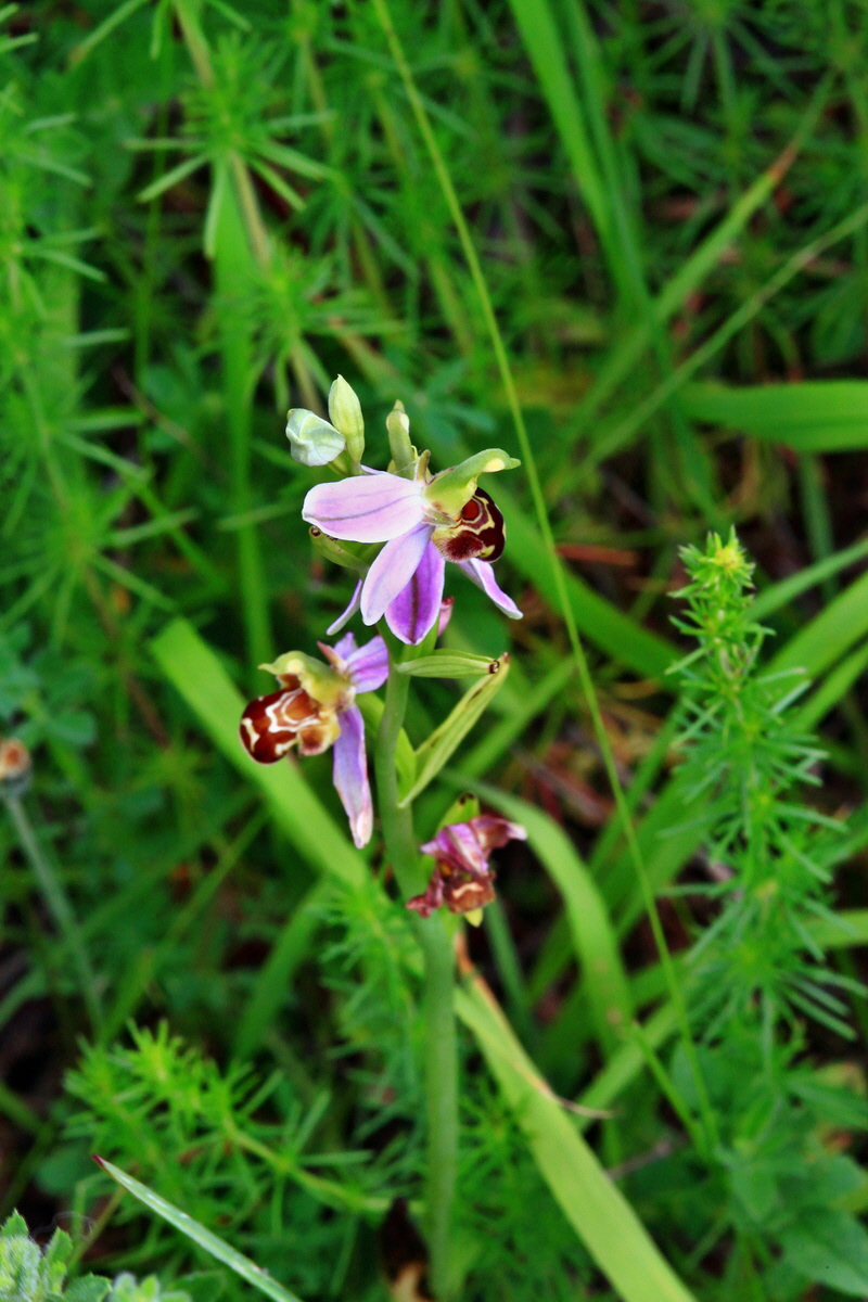 2013_06_24_00024284p_Bildgr��e �ndern