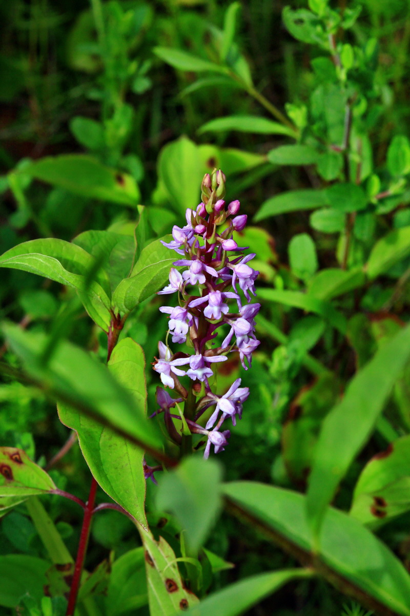 2013_06_24_00024302p_Bildgr��e �ndern