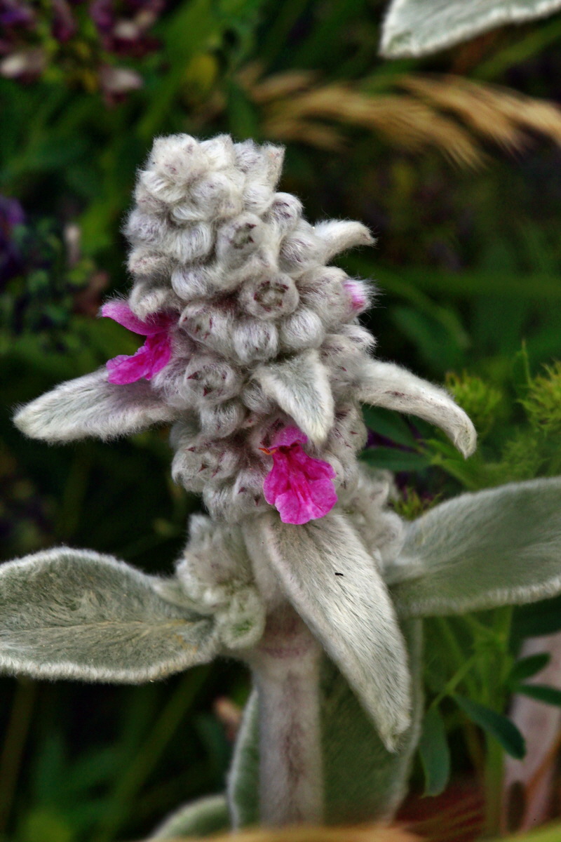 2013_06_24_00024336p_Bildgr��e �ndern