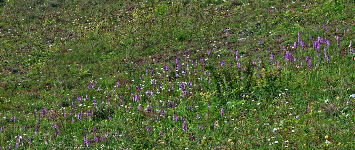 [Group 8]-2013_06_25_00024562_2013_06_25_00024577-16 imagesp_Bildgr��e �ndern