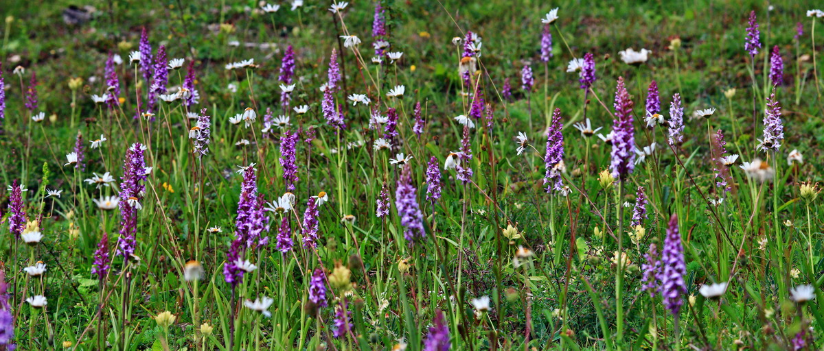 [Group 8]-2013_06_25_00024578_2013_06_25_00024581-2 imagesp_Bildgr��e �ndern