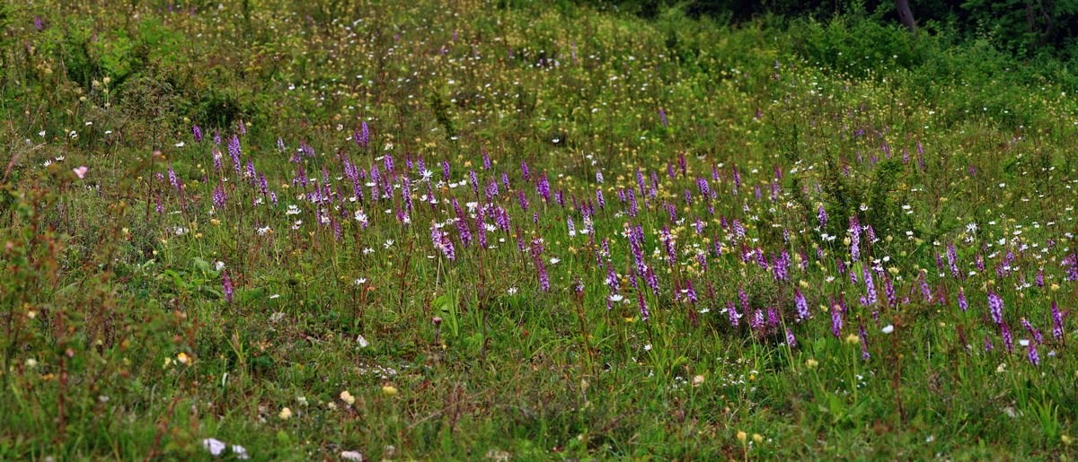 [Group 8]-2013_06_25_00024604_2013_06_25_00024618-4 imagesp_Bildgr��e �ndern