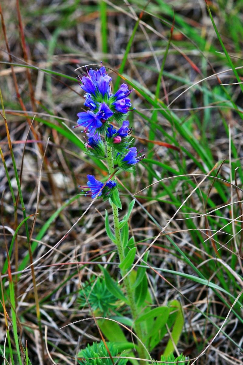 2013_06_25_00024354p_Bildgr��e �ndern