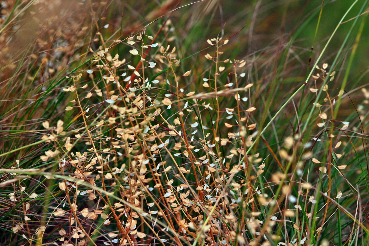 2013_06_25_00024372p_Bildgr��e �ndern