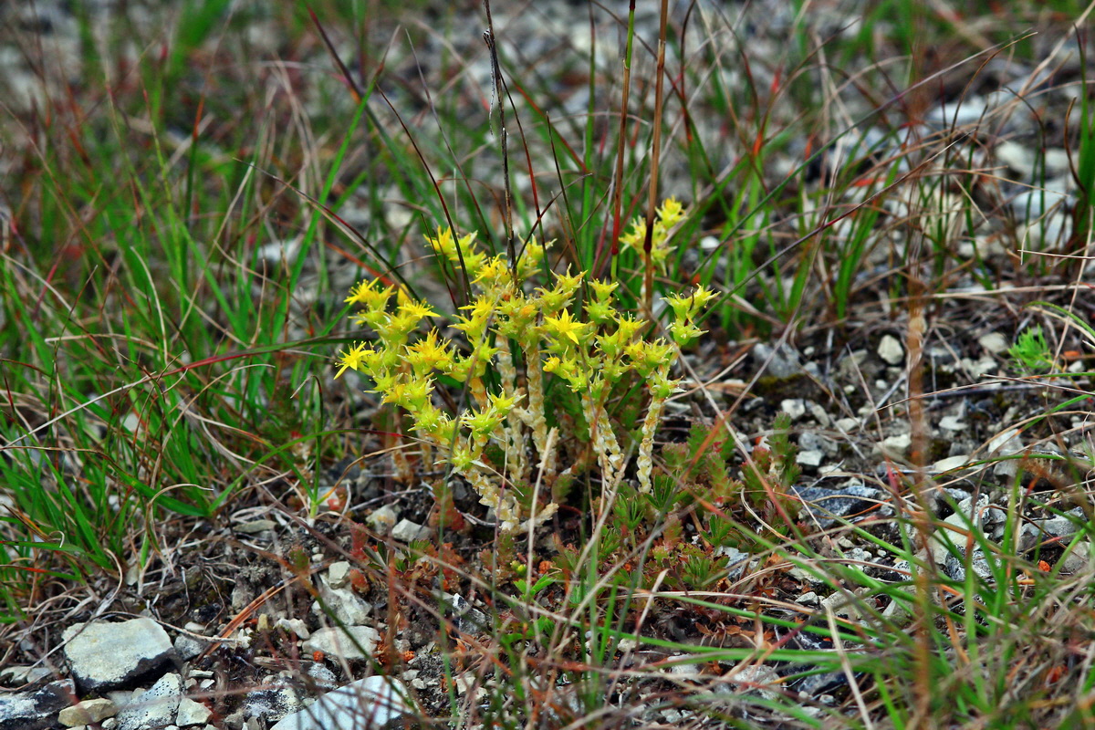 2013_06_25_00024397p_Bildgr��e �ndern