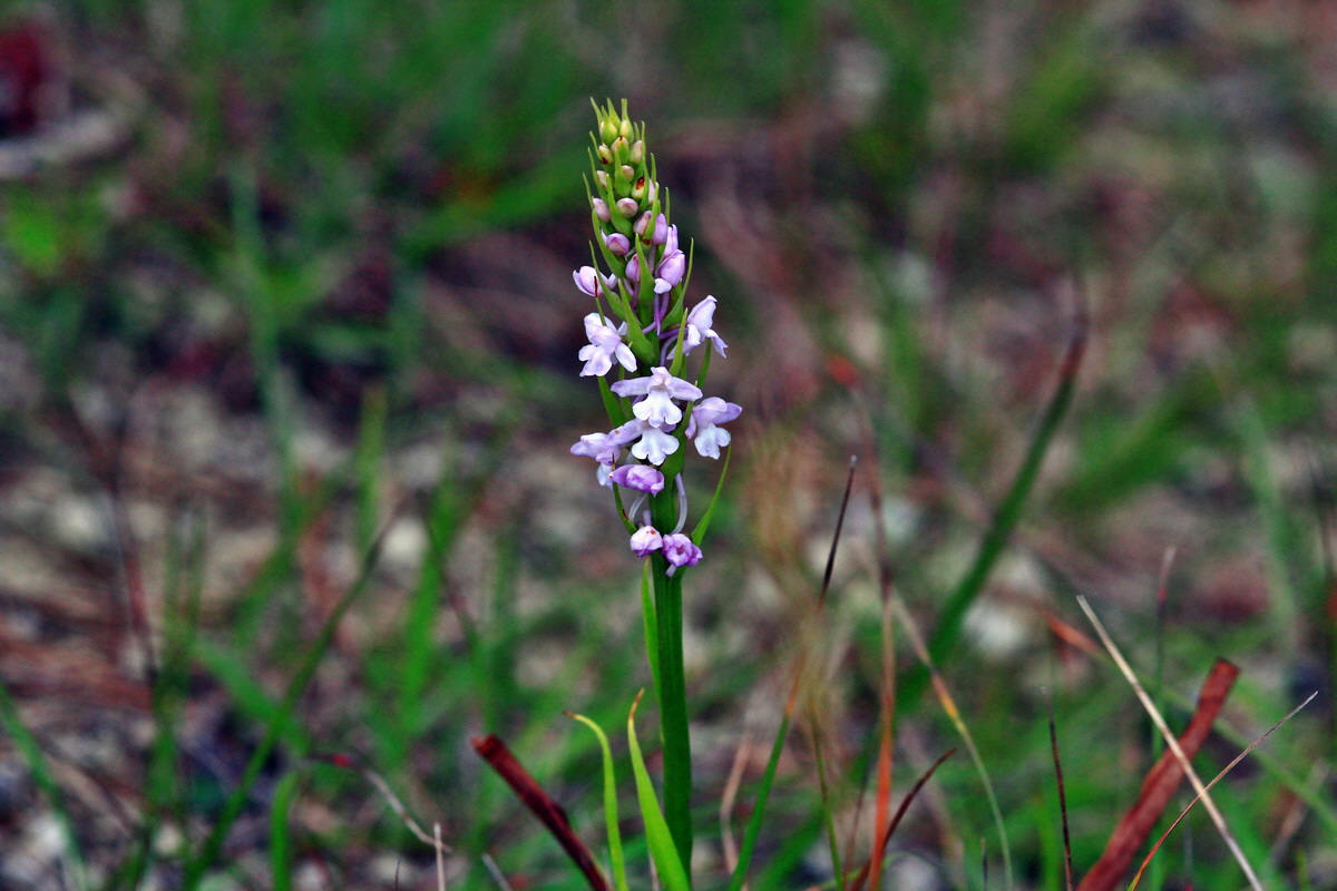 2013_06_25_00024401p_Bildgr��e �ndern