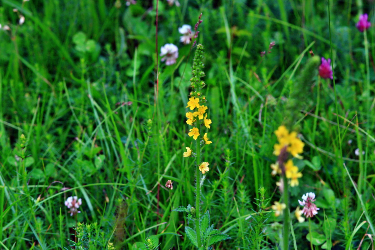 2013_06_25_00024416p_Bildgr��e �ndern