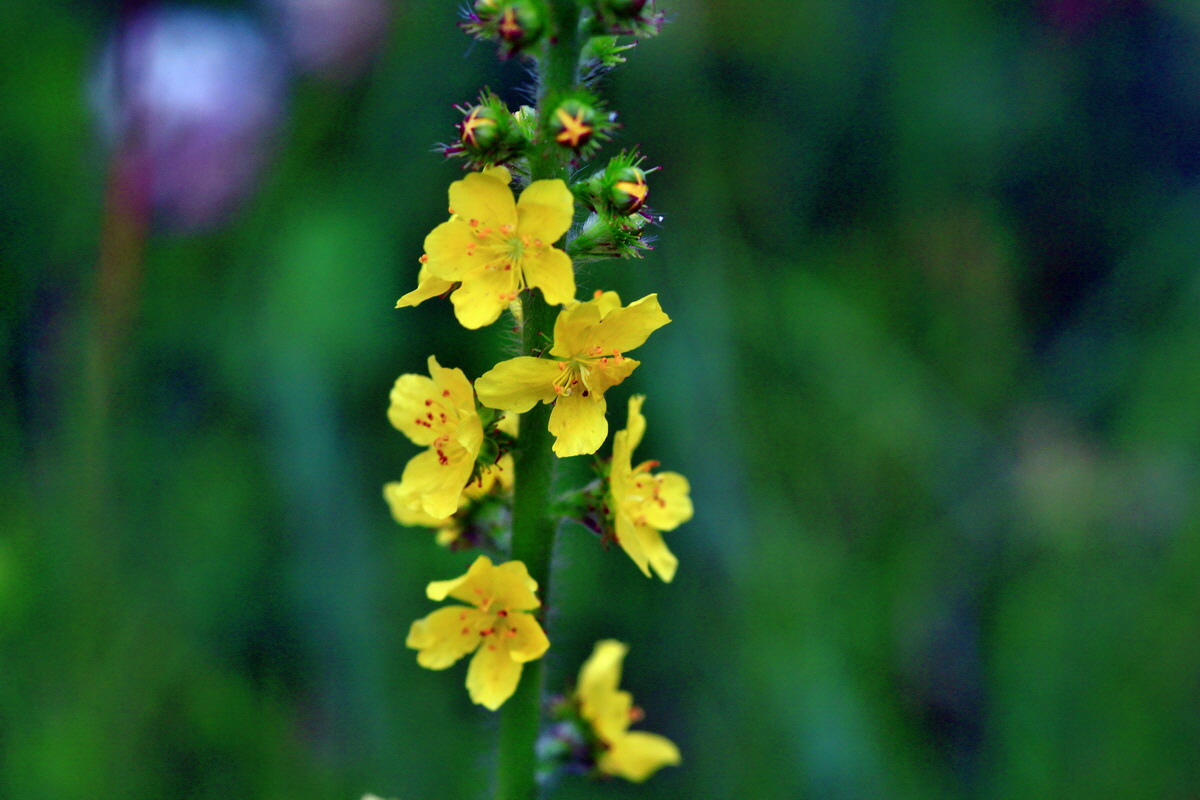 2013_06_25_00024418p_Bildgr��e �ndern