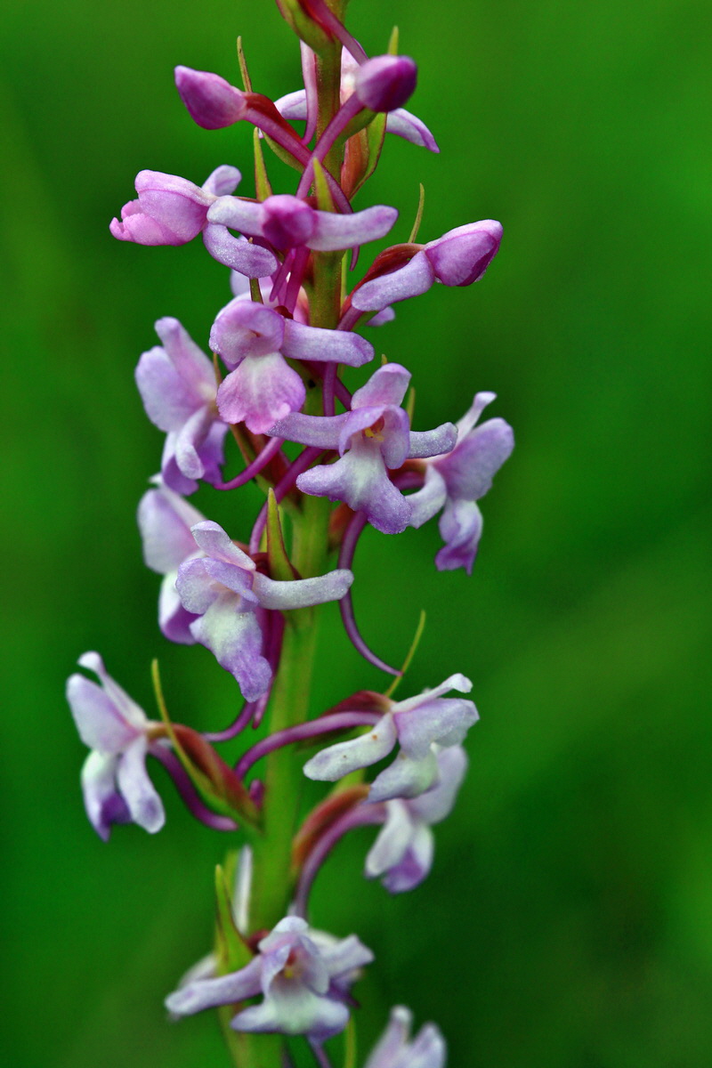 2013_06_25_00024427p_Bildgr��e �ndern