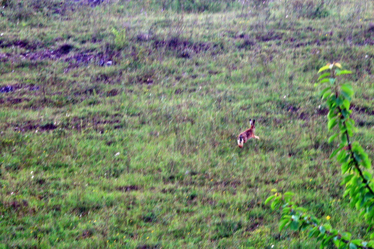 2013_06_25_00024448p_Bildgr��e �ndern