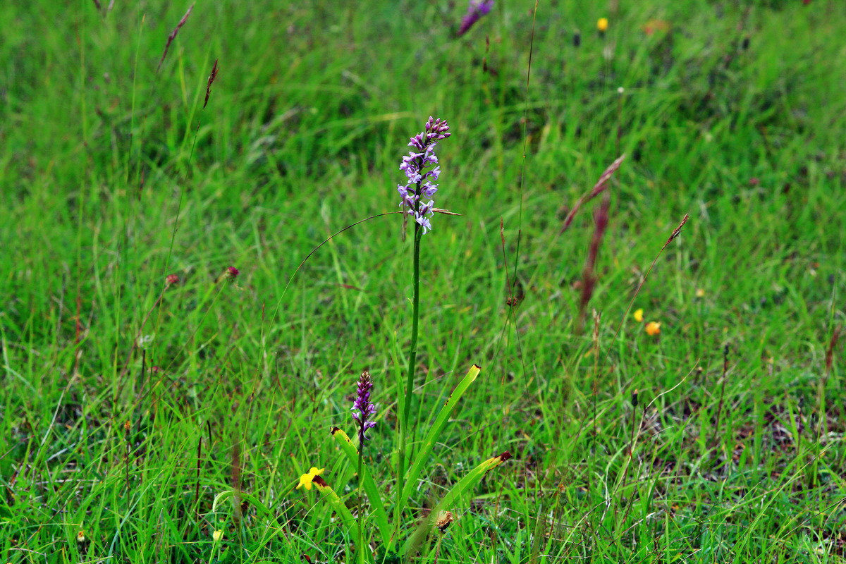 2013_06_25_00024467p_Bildgr��e �ndern