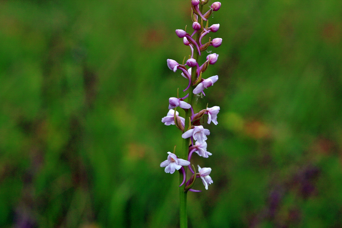 2013_06_25_00024476p_Bildgr��e �ndern