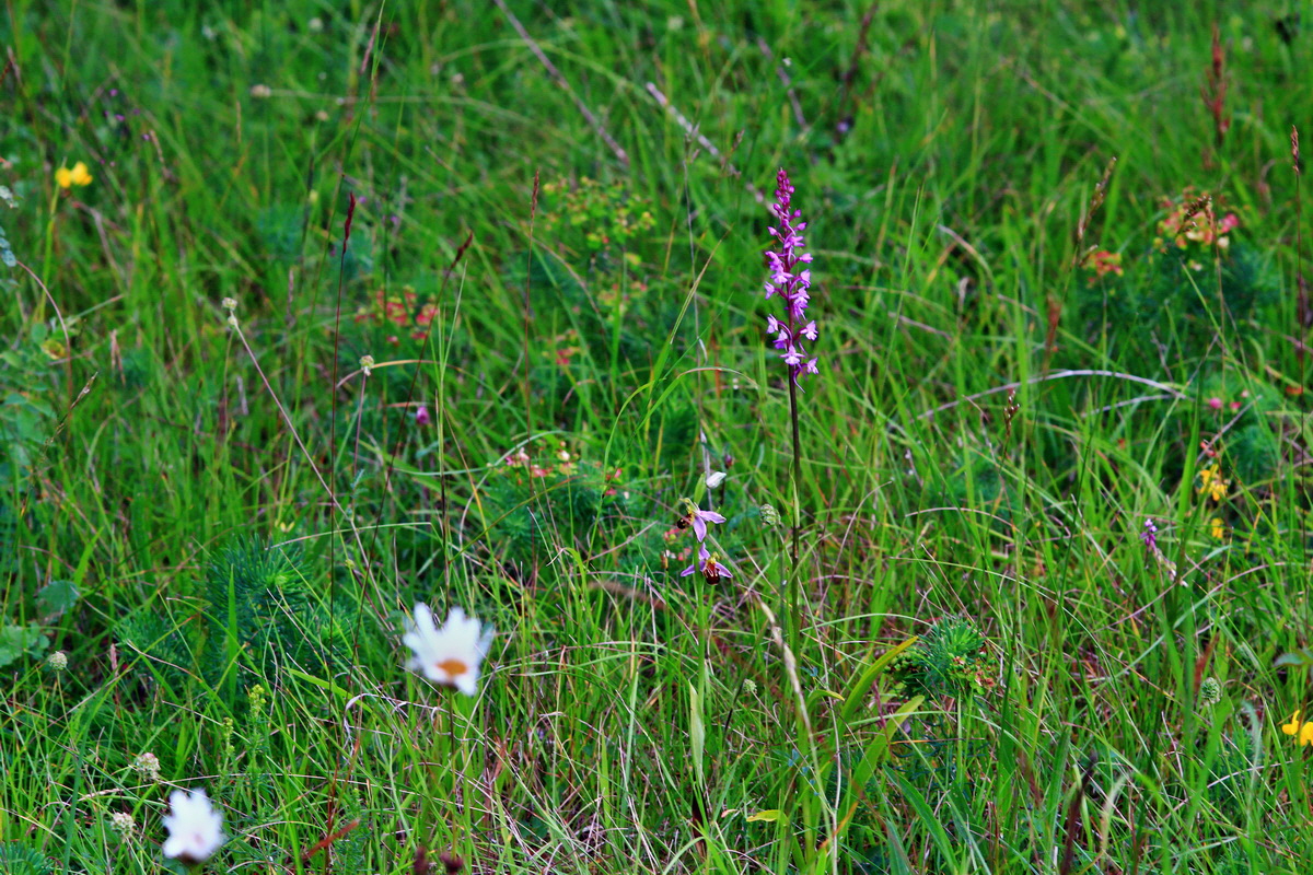 2013_06_25_00024546p_Bildgr��e �ndern