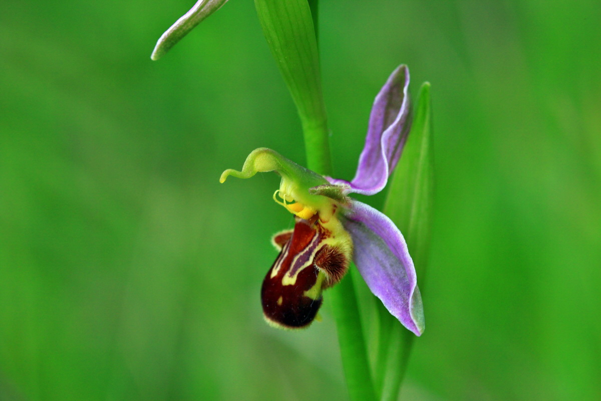 2013_06_25_00024553p_Bildgr��e �ndern