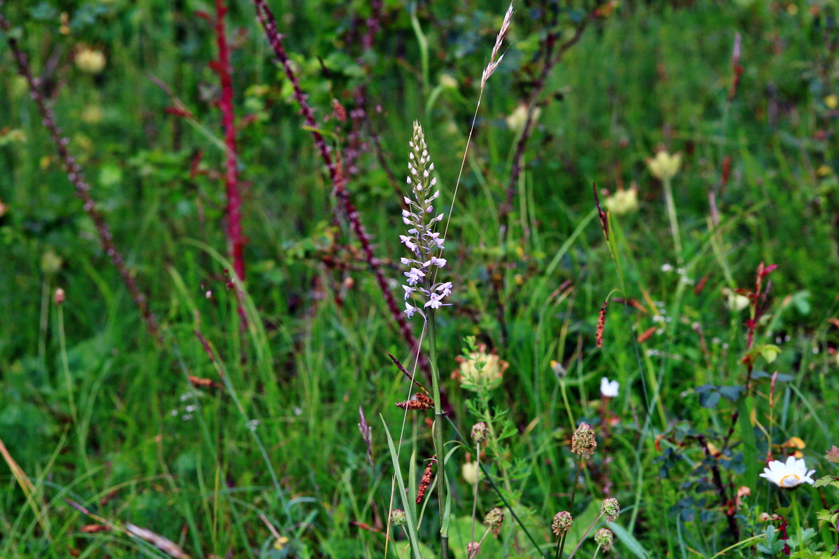 2013_06_25_00024556p_Bildgr��e �ndern