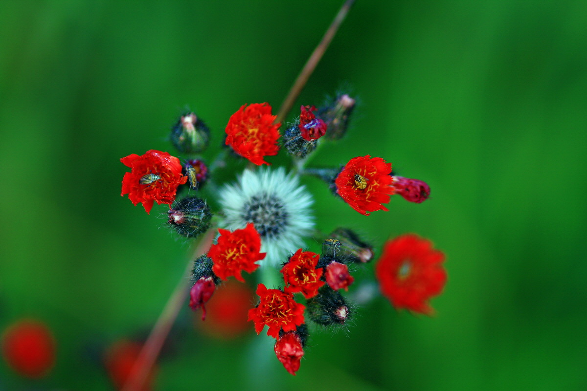 2013_06_28_00024744p_Bildgr��e �ndern