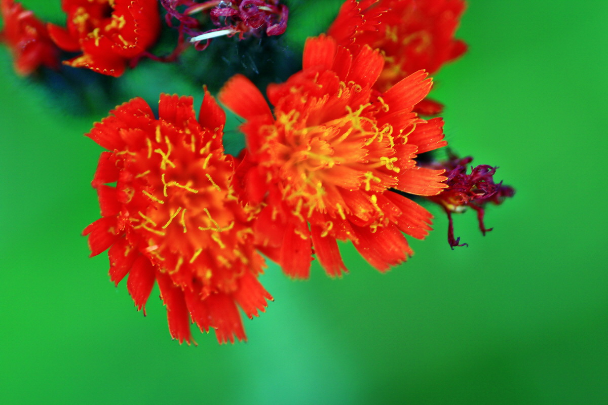 2013_06_28_00024754p_Bildgr��e �ndern