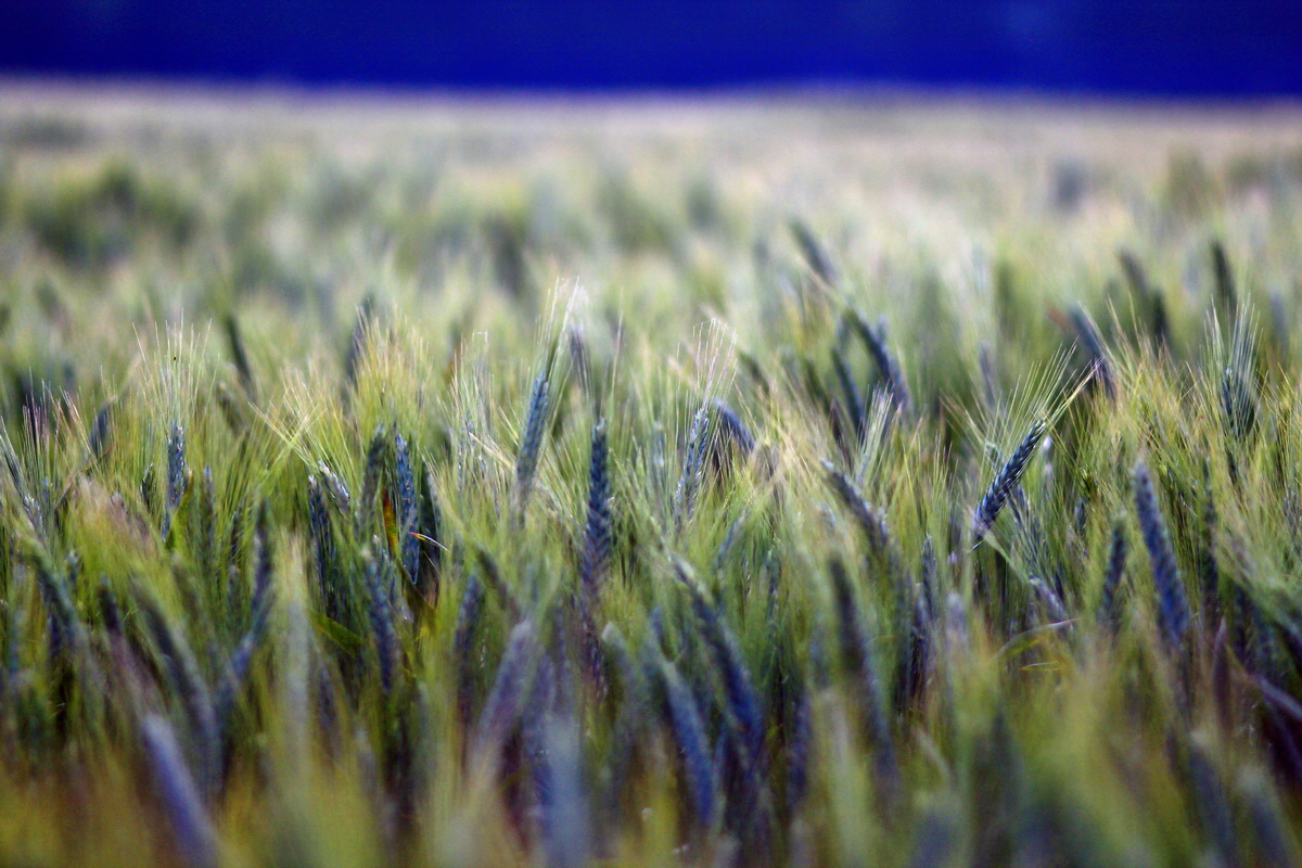 2013_06_28_00024763p_Bildgr��e �ndern