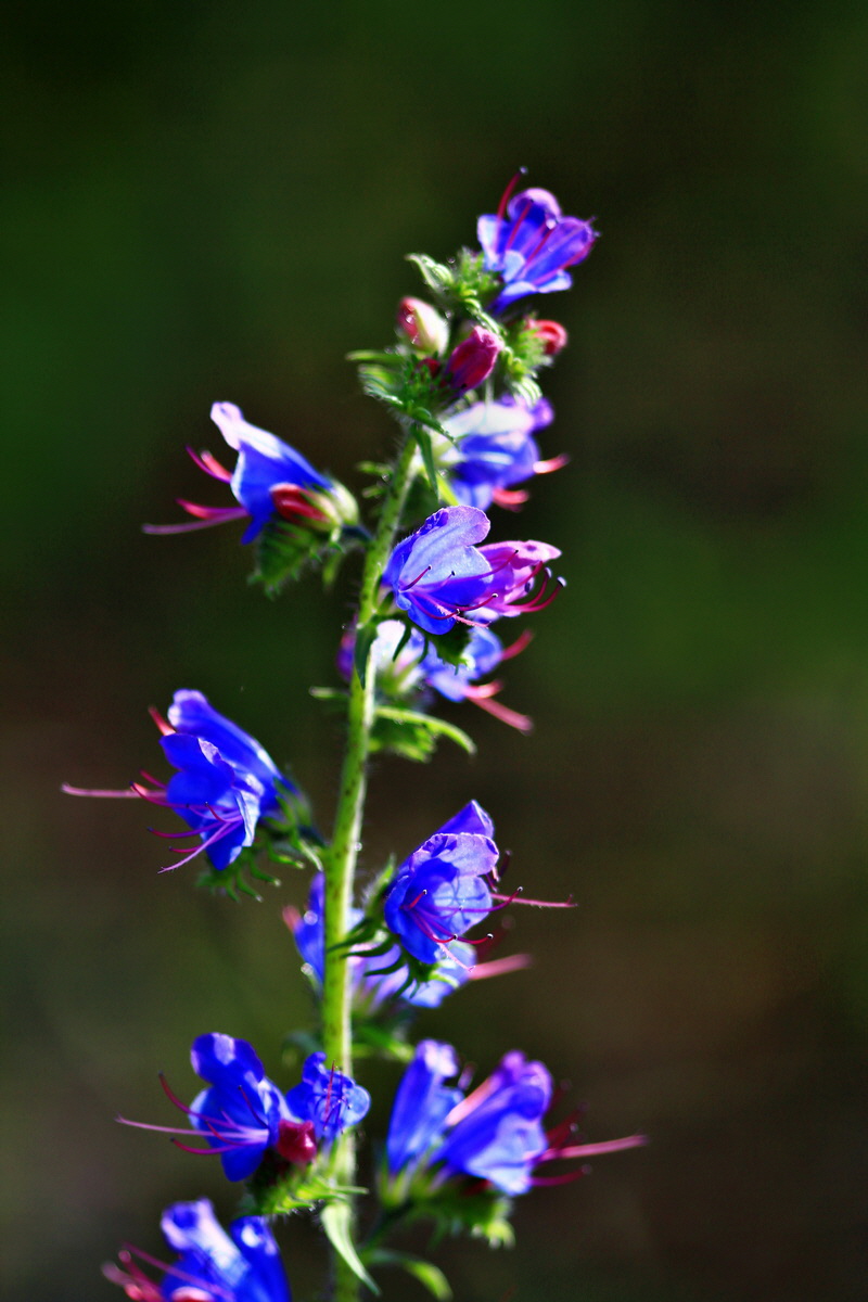 2013_06_28_00024798p_Bildgr��e �ndern