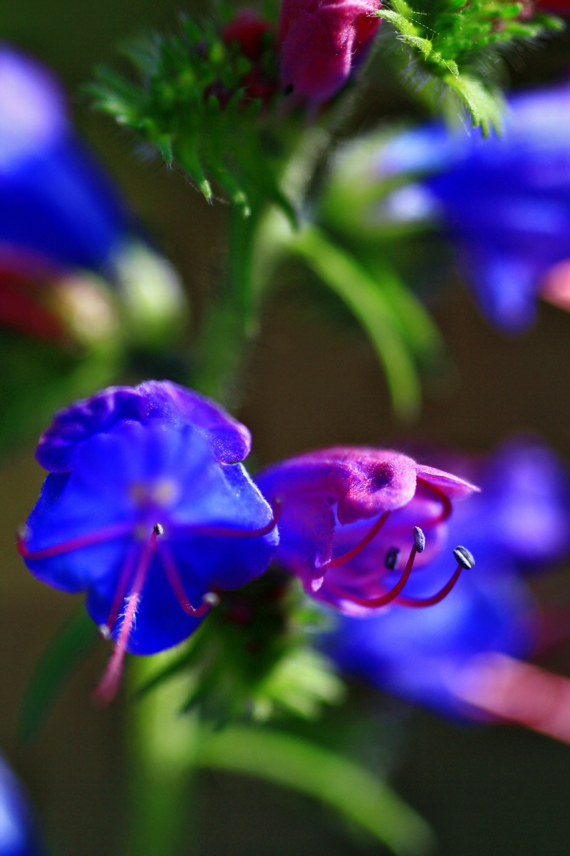 2013_06_28_00024806p_Bildgr��e �ndern