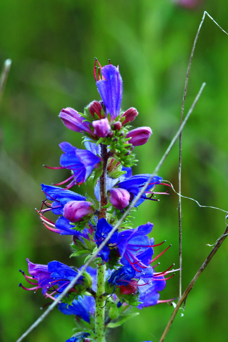 2013_06_28_00024829p_Bildgr��e �ndern