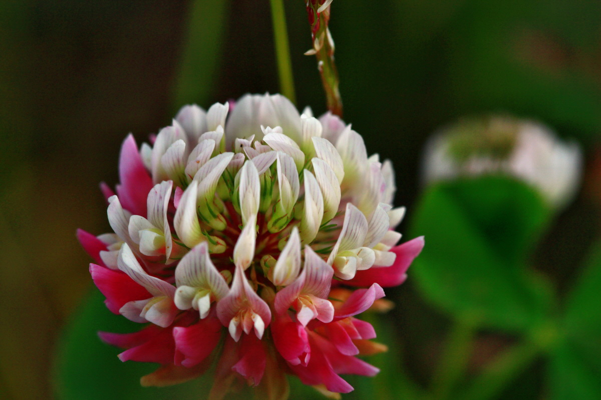 2013_06_28_00024833p_Bildgr��e �ndern