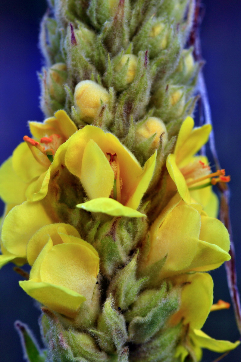 2013_06_28_00024851p_Bildgr��e �ndern