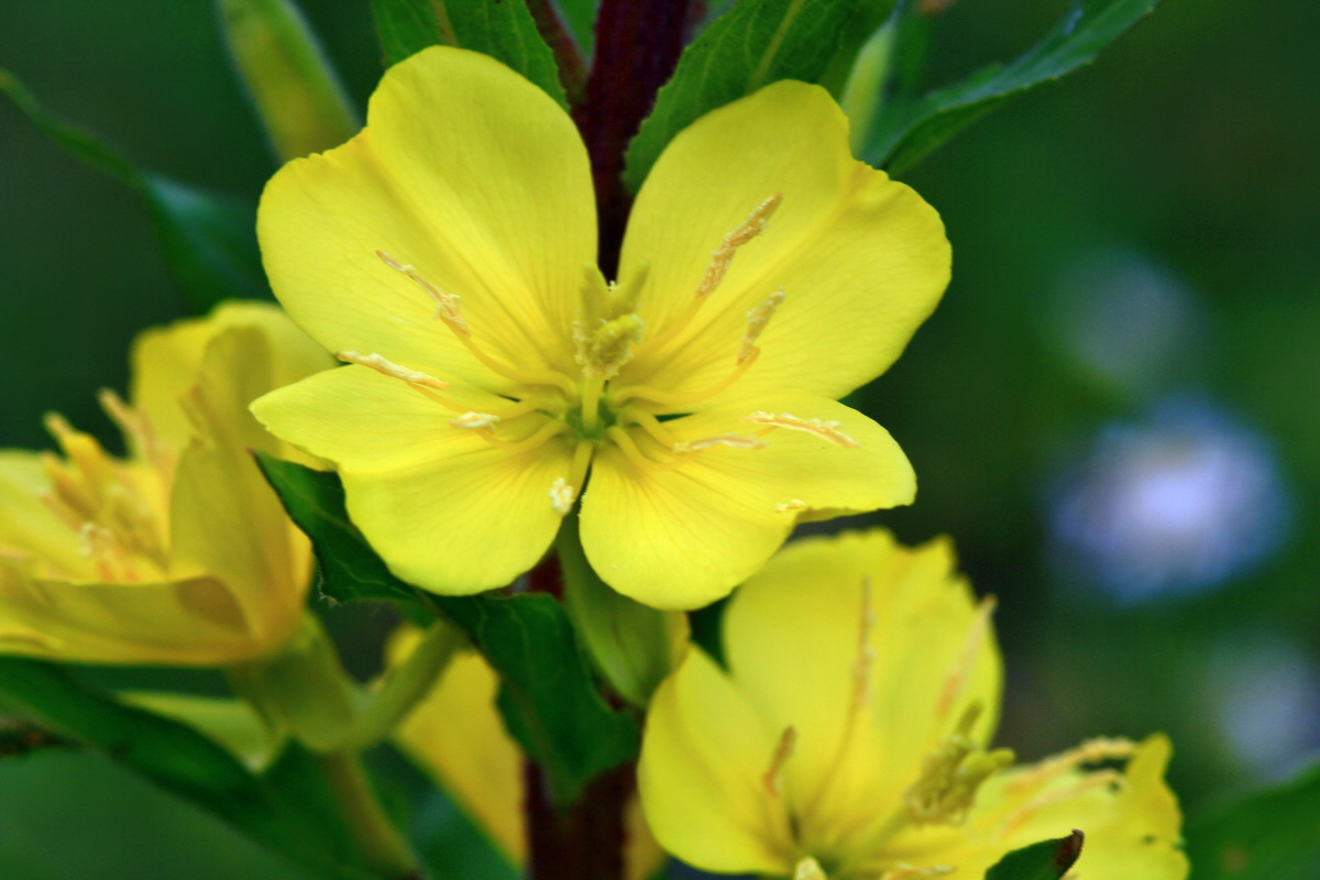 2013_06_28_00024860p_Bildgr��e �ndern