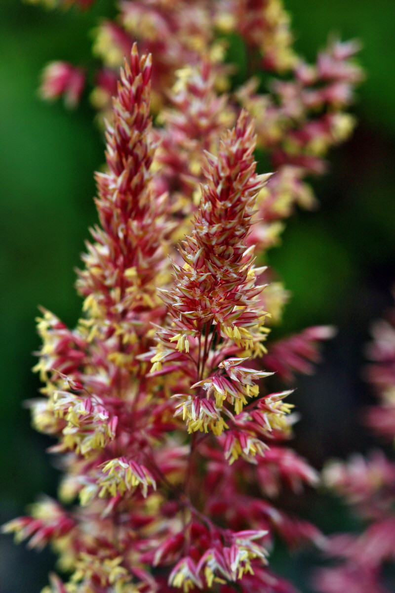 2013_06_28_00024869p_Bildgr��e �ndern