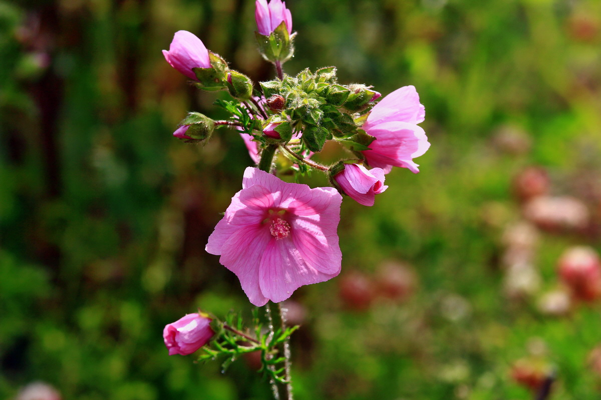 2013_06_28_00024873p_Bildgr��e �ndern