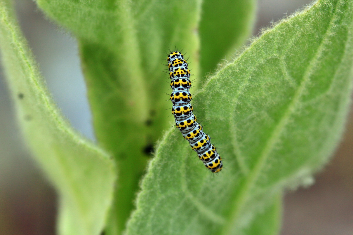 2013_06_28_00024879p_Bildgr��e �ndern