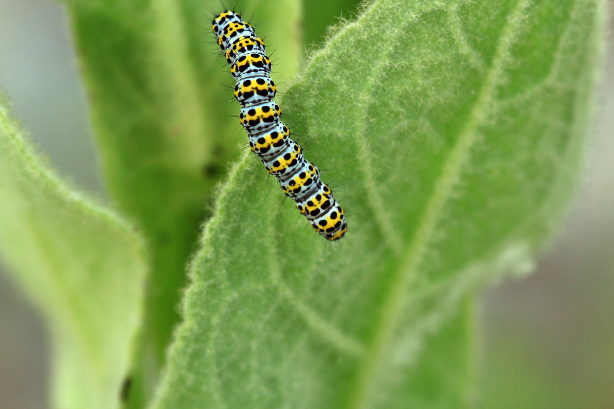 2013_06_28_00024882p_Bildgr��e �ndern