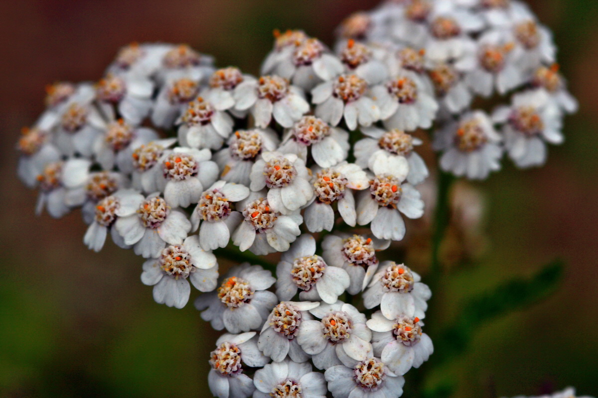 2013_06_28_00024892p_Bildgr��e �ndern