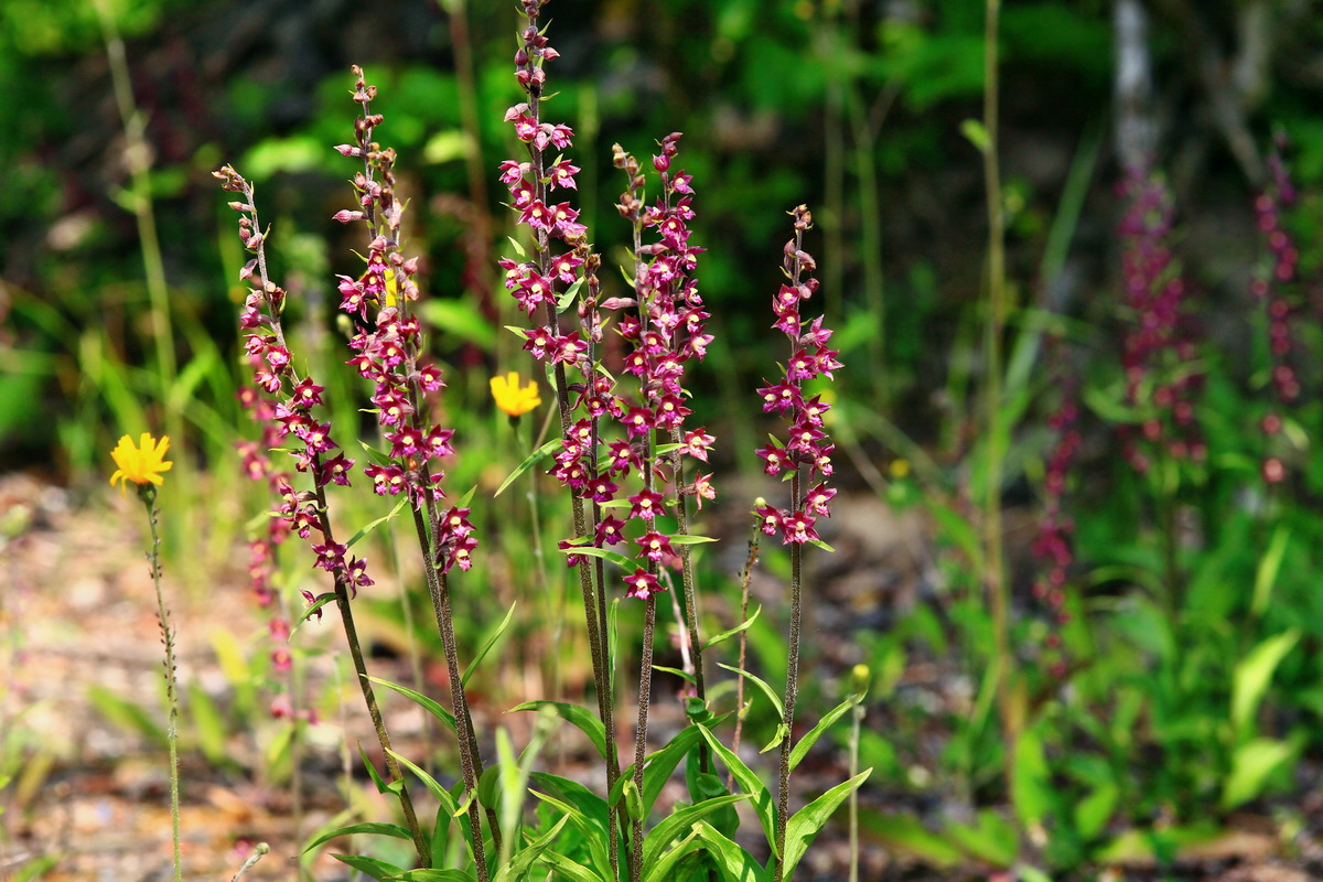 2013_06_28_00024904p_Bildgr��e �ndern