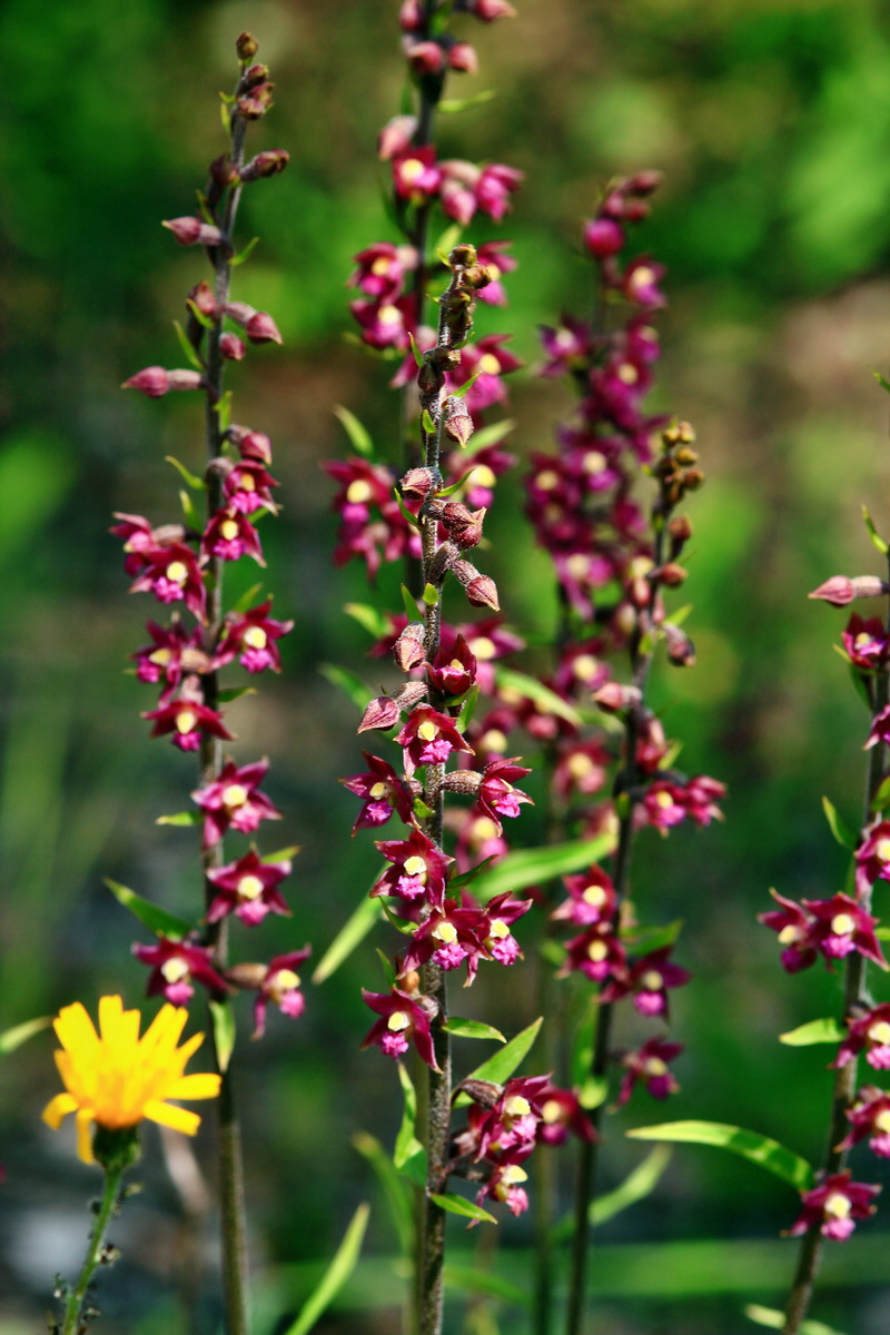 2013_06_28_00024913p_Bildgr��e �ndern