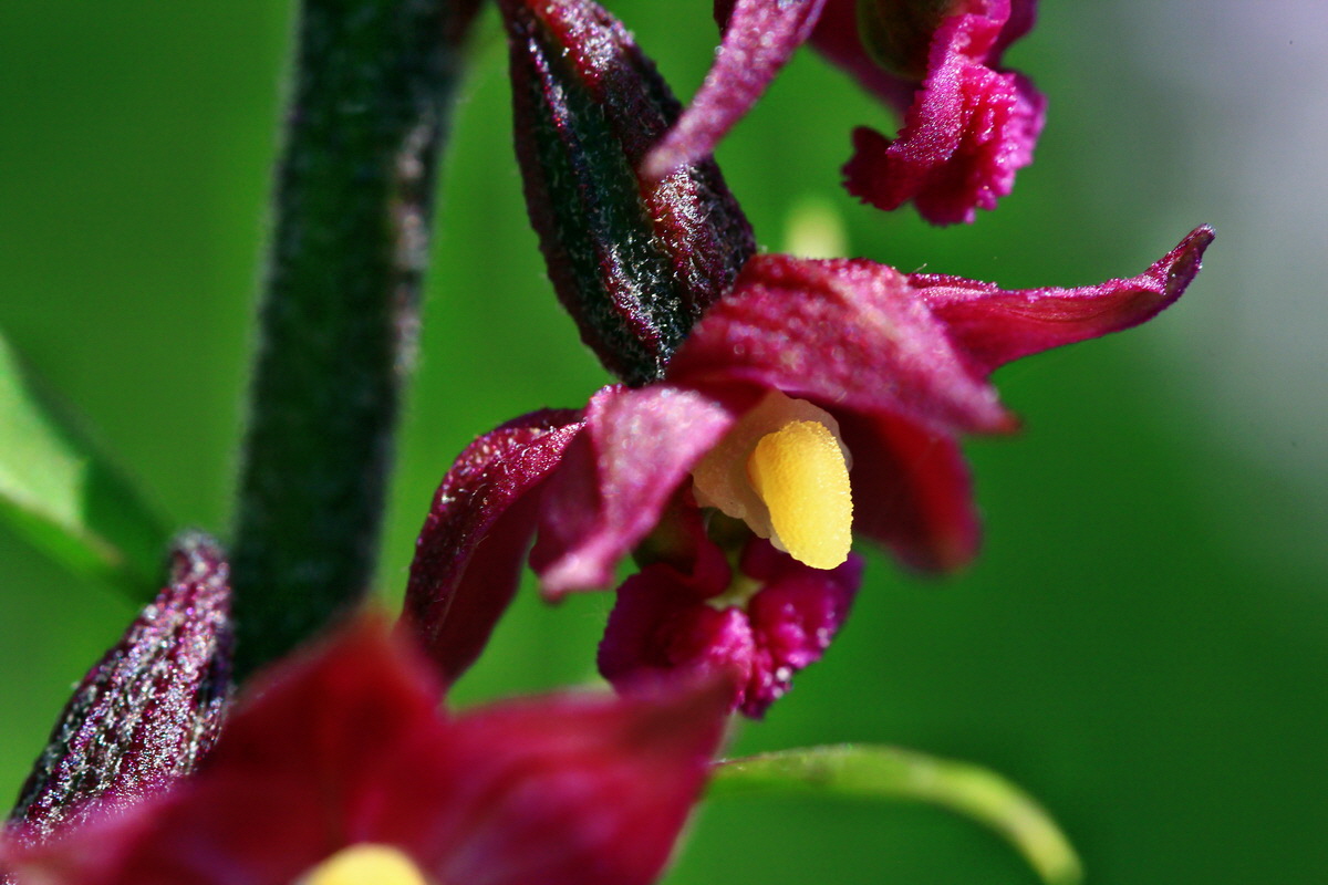 2013_06_28_00024921p_Bildgr��e �ndern