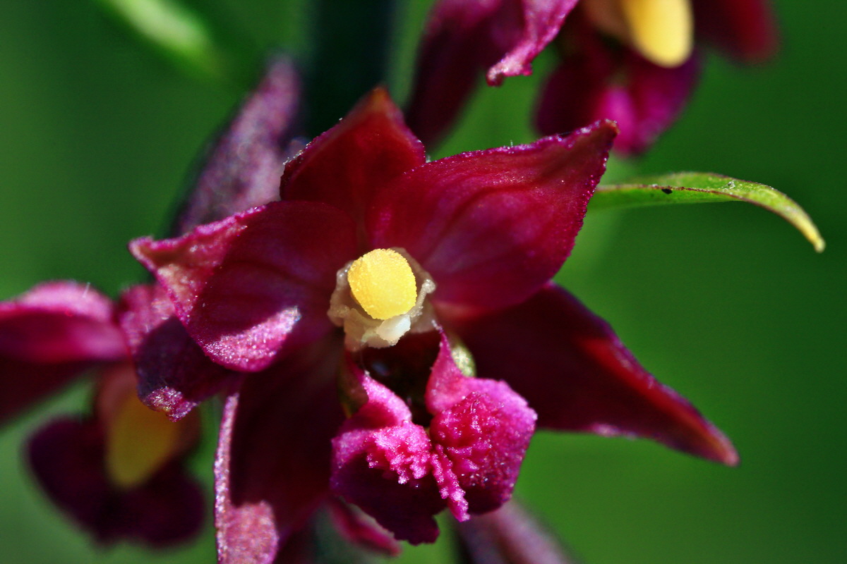 2013_06_28_00024924p_Bildgr��e �ndern