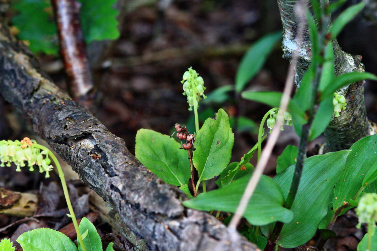 2013_06_28_00024927p_Bildgr��e �ndern