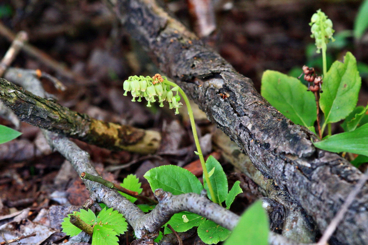 2013_06_28_00024929p_Bildgr��e �ndern