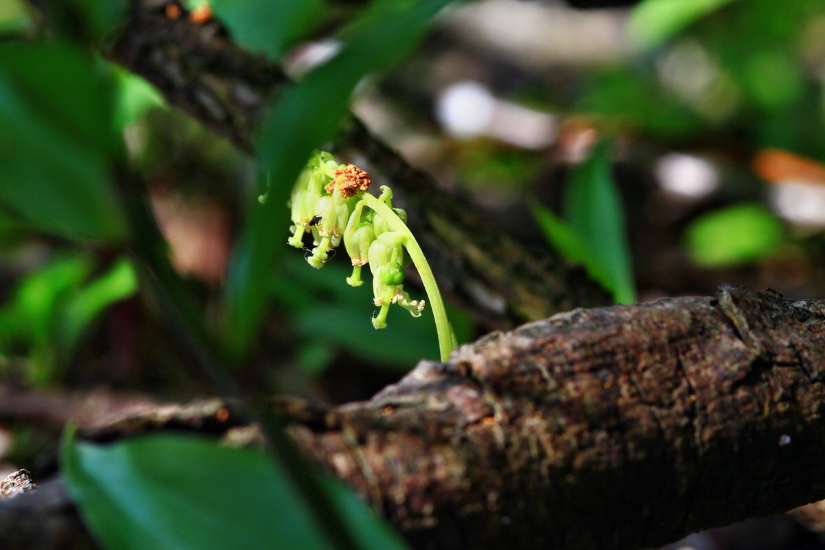 2013_06_28_00024970p_Bildgr��e �ndern