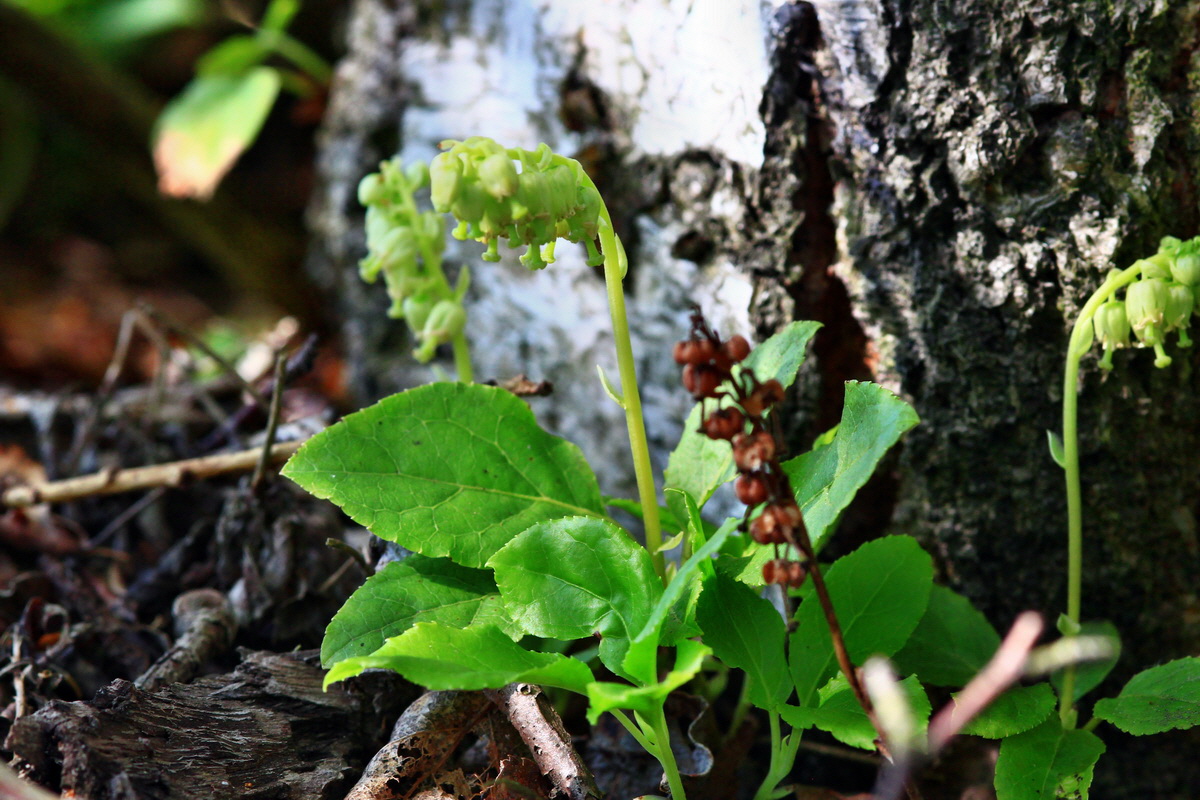 2013_06_28_00024977p_Bildgr��e �ndern