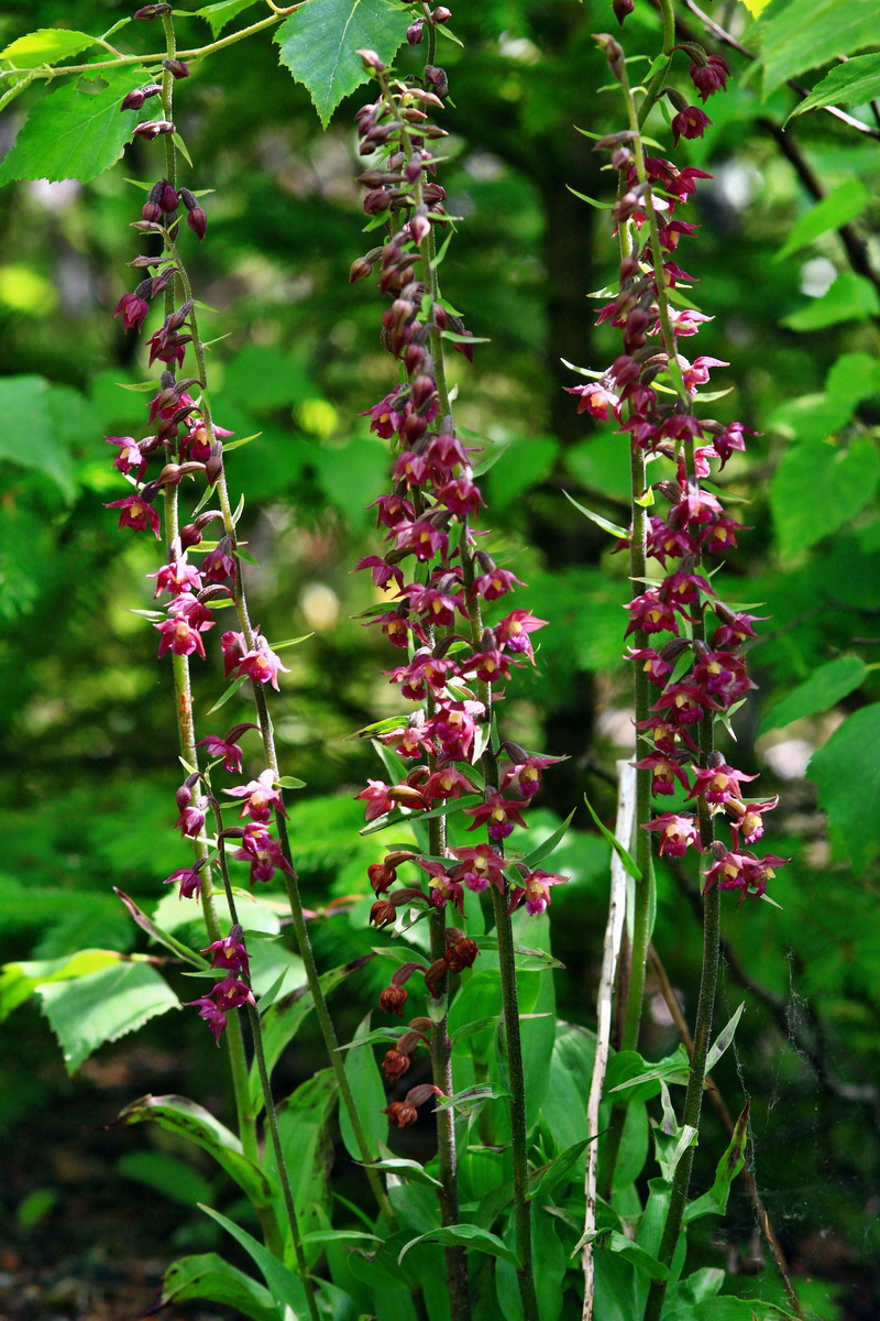 2013_06_28_00025001p_Bildgr��e �ndern