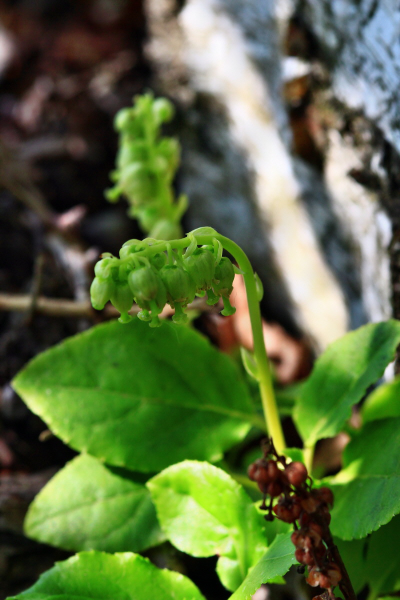 2013_06_28_00025007p_Bildgr��e �ndern