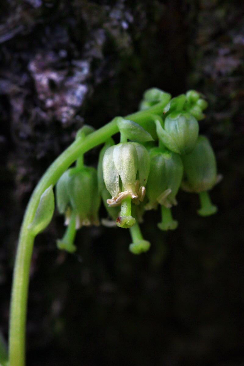 2013_06_28_00025012p_Bildgr��e �ndern