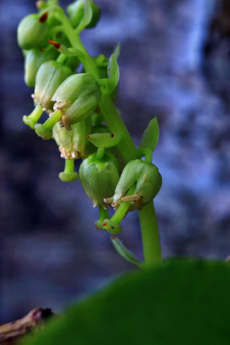 2013_06_28_00025024p_Bildgr��e �ndern