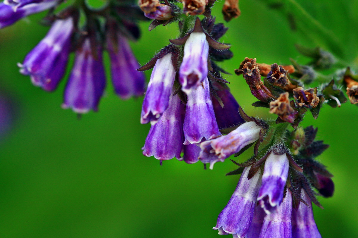 2013_06_28_00025097p_Bildgr��e �ndern