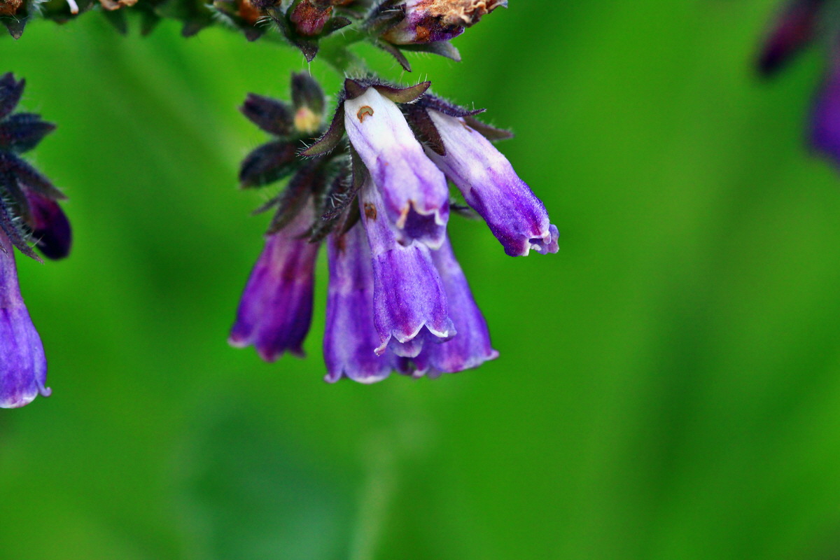 2013_06_28_00025101p_Bildgr��e �ndern